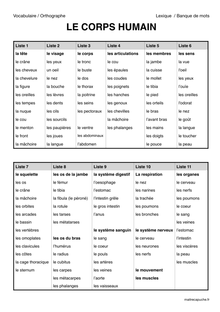 Aperçu de la fiche PDF Le corps humain