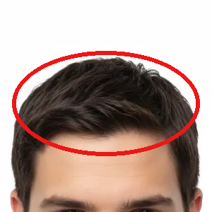 Les cheveux