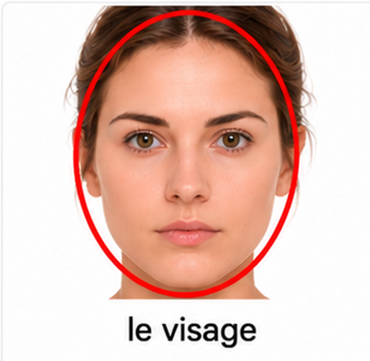 Le visage
