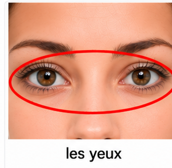 Les yeux