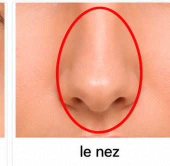 Le nez
