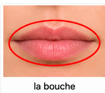 La bouche