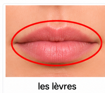 Les lèvres