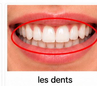 Les dents