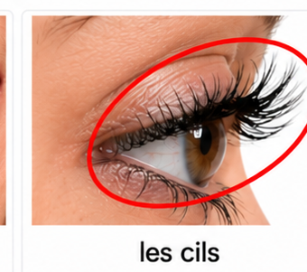Les cils