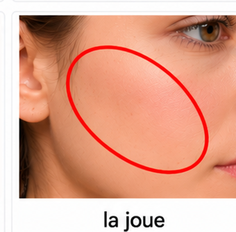 La joue