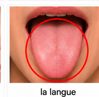 La langue